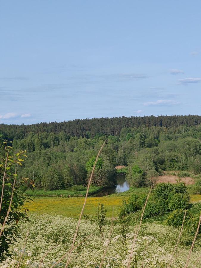 Zalioji Villa Paduyelis Buitenkant foto