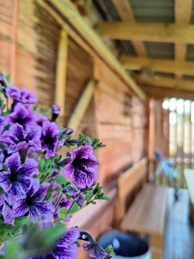 Zalioji Villa Paduyelis Buitenkant foto